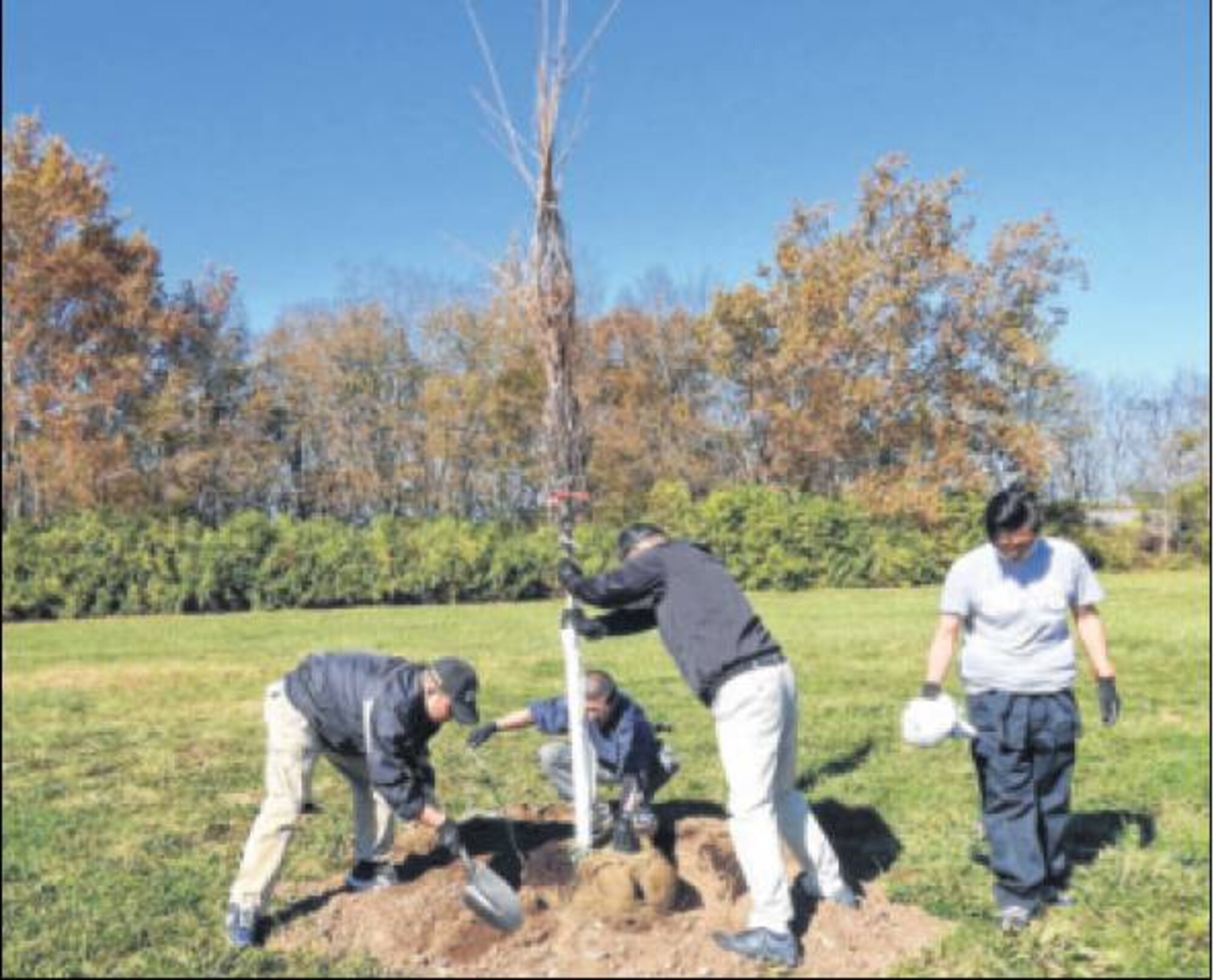 Volunteers from Japanese companies around Ohio were gathered by Hara to plant the trees beginning at 1:30 p.m. on the north side of Springfield Street across from the National Museum of the U.S. Air Force. (Photos by Cindy Holbrook)