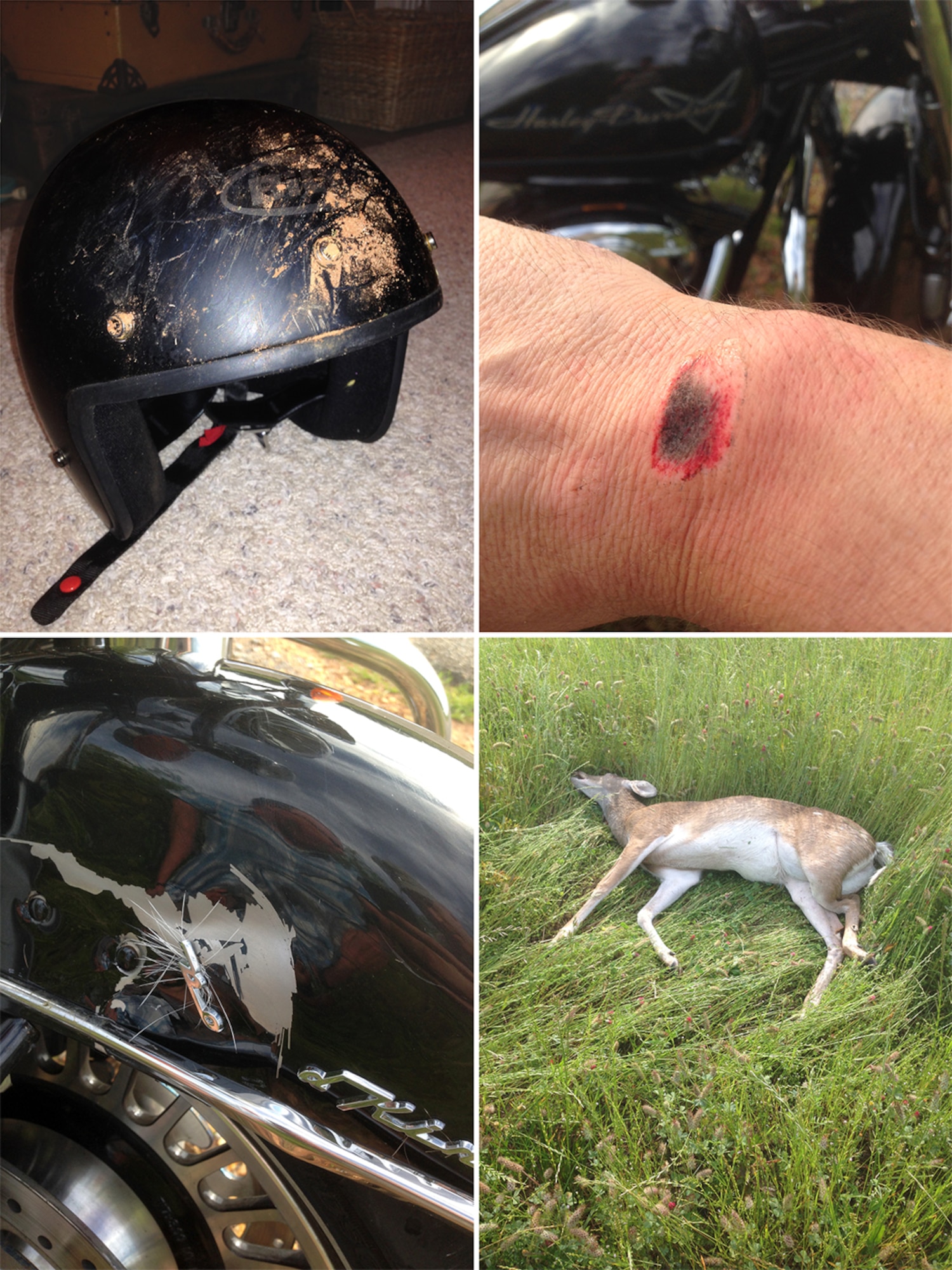 The photos reveal the scrapes where the rider’s helmet struck the asphalt and road rash to the rider’s right wrist, the bottom left photo reveal some of the damage to his prized motorcycle as well as the unfortunate deer, which made it to the tall grass just beyond the side of the road before succumbing to its injuries. (Courtesy photos by Maj. Jason Ross)