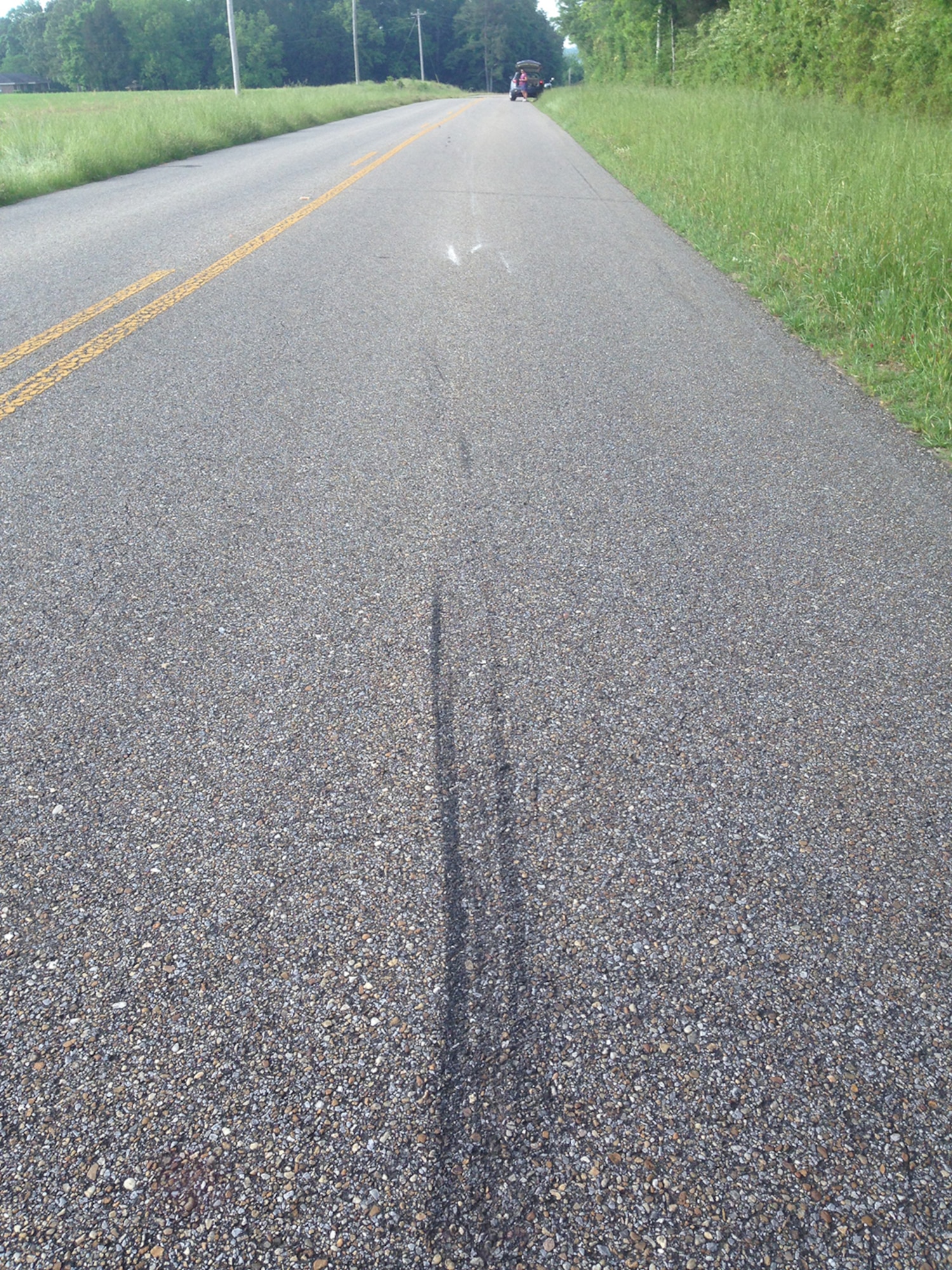 The road tells part of the story. The skid marks and scuffs on County Road 85 in Autauga County, Ala., show the results of a May 7 motorcycle-deer collision. (Courtesy photo by Maj. Jason Ross)