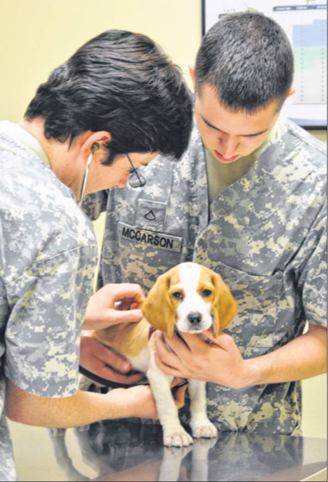 Army Capt. (Dr.) Sarah Cudd and animal care technician Pfc. Trevor McCarson conduct an exam on McCarson’s 3-month-old beagle, Carly. (Air Force photos by Diane Kofoed)