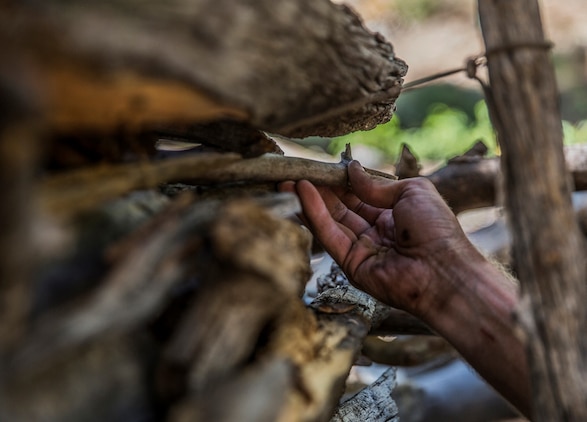 U.S. Marine Cpl. Matthew Newman meticulously places wood to make a survival shelter during Mountain Exercise 2014 aboard Marine Corps Mountain Warfare Training Center in Bridgeport, Calif., Aug. 28, 2014. Newman is team leader with 2nd Platoon, India Company, 3rd Battalion, 1st Marine Regiment. Marines with 3rd Battalion, 1st Marine Regiment will become the 15th Marine Expeditionary Unit’s ground combat element in October. Mountain Exercise 2014 develops critical skills the battalion will need during deployment. (U.S. Marine Corps photo by Sgt. Emmanuel Ramos/Released)