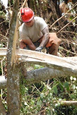 Debris clearing teams from the Hawaii National Guard Joint Task Force work quickly to remove downed trees in the aftermath of Hurricane Iselle. The storm brought heavy rain, strong winds and caused power outages in the Puna district of Hawaii. (U.S. Air Force photo by Senior Master Sergeant Kristen Stanley)