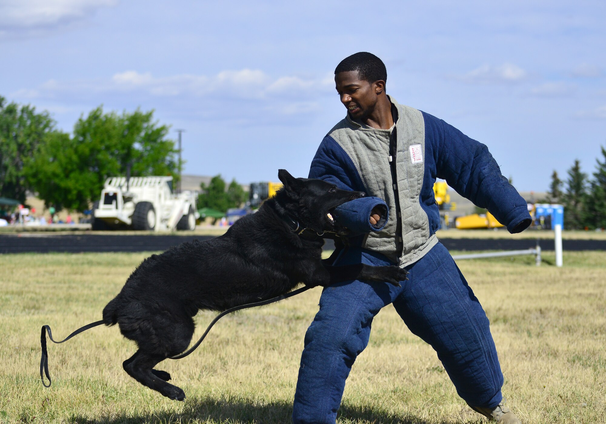 Senior Airman Stephon Owens, 341st Security Forces Squadron military working dog handler, demonstrates how strong Zsab, a black German shepherd that’s been assigned to Malmstrom for three years, can bite for a crowd near the base track Aug. 28. More than 4,100 Airmen, DoD civilians, retirees and family members showed up at Sun Plaza Park to enjoy some sun, food and fun during the base picnic. (U.S. Air Force photo/Tech. Sgt. Chad Thompson)