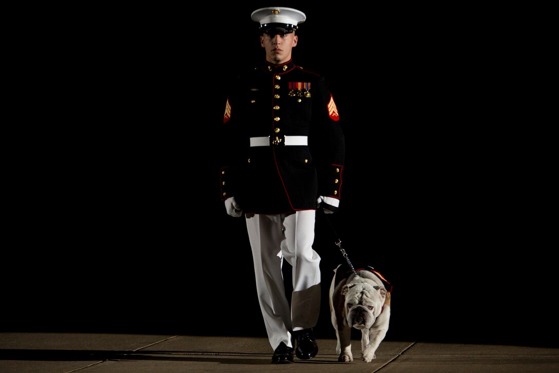 Sgt. Gaige Roberts, dog handler, walks Cpl. Chesty XIV, official Marine Corps mascot, during a Friday Evening Parade at Marine Barracks Washington, D.C., Aug. 29. (Official Marine Corps photo by Cpl. Larry Babilya/Released)