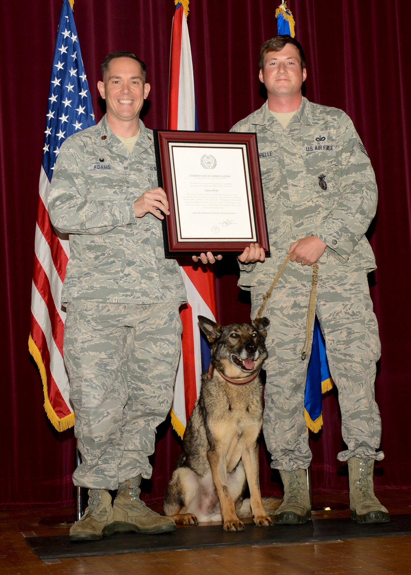 Military Working Dog Zulton recieves an award during his retirement ceremony Aug. 29, 2014, on RAF Mildenhall, England. Zulton has been adopted by his former handler, U.S. Air Force Staff Sgt. Barret Chappelle, 100th Security Forces Squadron MWD trainer from Lafayette, La. (U.S. Air Force photo/Airman 1st Class Victoria H. Taylor/Released)