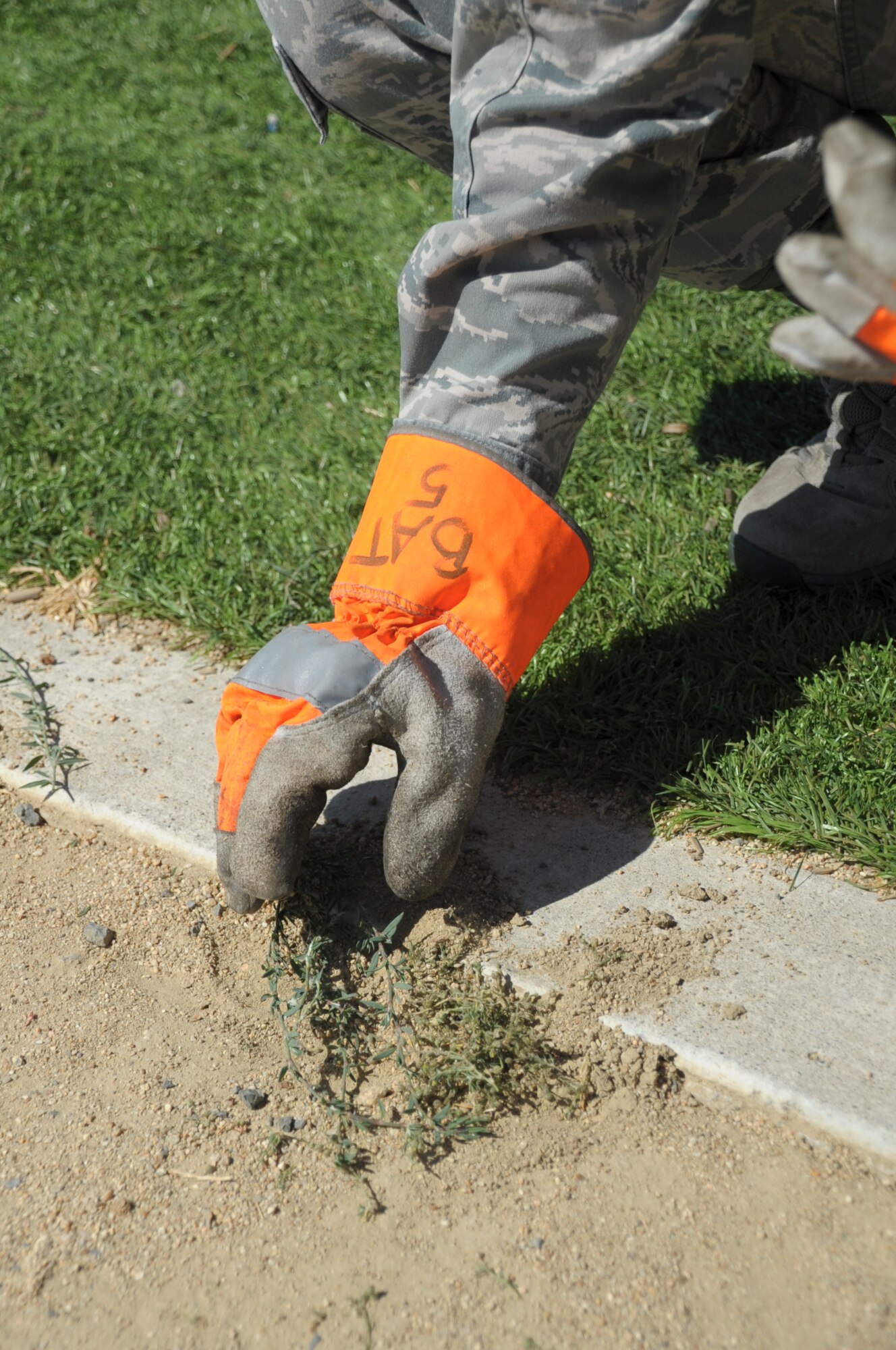 Airman 1st Class Jessica Duran, 60th Inpatient Operations Squadron mental health technician, pulls weeds September 2 at Travis Air Force Base. Pulling weeds is just one of the many jobs that the BAT does to keep Travis clean. (U.S. Air Force photo by Airman 1st Class Amber Carter) 