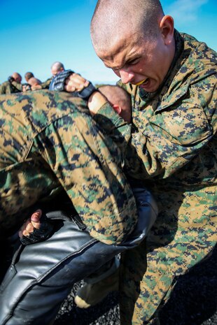 Recruit Vincent A. Leon, Platoon 3215, India Company, 3rd Recruit Training Battalion (left), holds a padded bag while Recruit Nicholas M. Anderson, Platoon 3215, practices his vertical knee strike at Marine Corps Recruit Depot San Diego, Calif., Aug. 29. The MCMAP class focused on utilizing various leg kicks to attack an opponent. Leon is a Albuquerque, N.M., native and was recruited from Recruiting Sub Station Albuquerque North, N.M. Anderson is a Grand Rapids, Mich., native and was recruited out of Recruiting Sub Station Grand Rapids North, Mich.