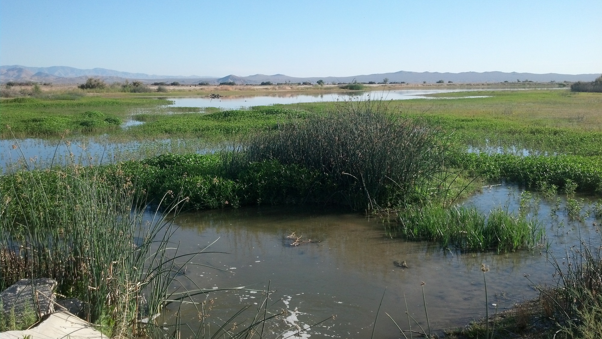 Piute Ponds (Courtesy photo)