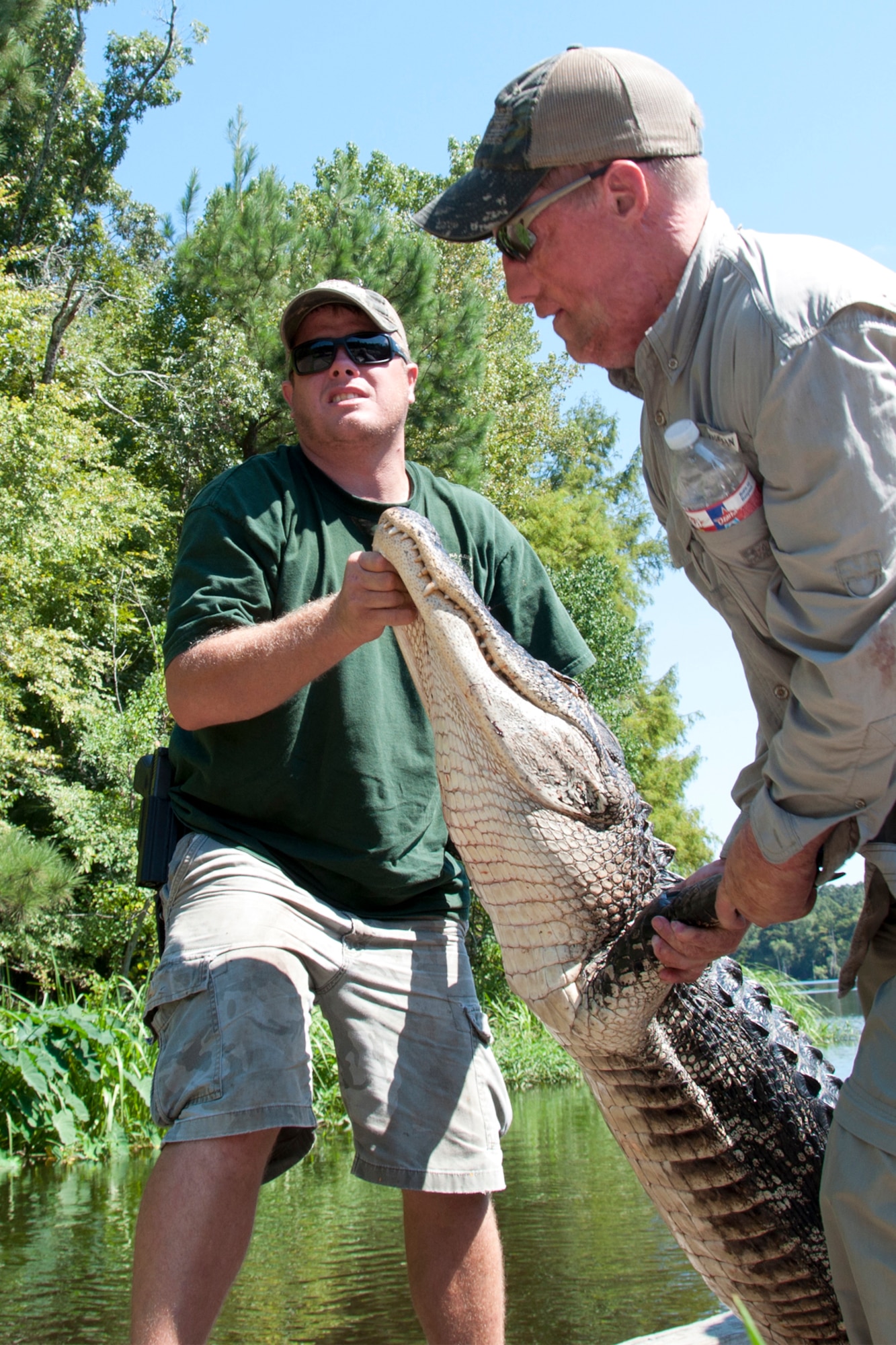 Dustin Mince and John Purser carry a 10 foot long alligator to the loading area after a hunt at Chicot State Park, Ville Platte, La., Sept. 4, 2014.  Each year, the Louisiana Department of Wildlife and Fisheries allows up to 40 alligators to be taken from the park.   This year, U.S. Air Force Master Sgt. Darryl Moore, 307th Force Support Squadron first sergeant, was able to get the wounded warriors on the exclusive event for three days of fun.  Moore, a retired game warden with the LDWF, volunteered his time and money to sponsor the veterans. (U.S. Air Force photo by Tech. Sgt. Ted Daigle/released)