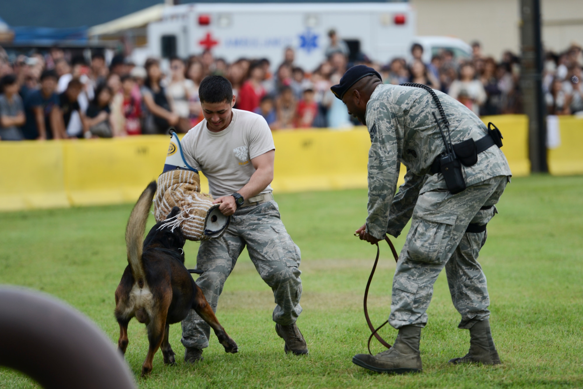 A military working dog handler with the 374th Security Forces Squadron, calls off his K-9 counterpart during a demonstration at the 2014 Japanese-American Friendship Festival at Yokota Air Base, Japan, Sept. 6, 2014. The K-9 demonstration was one of many events during the day that showcased Air Force capabilities. (U.S. Air Force photo by Staff Sgt. Cody H. Ramirez/Released)