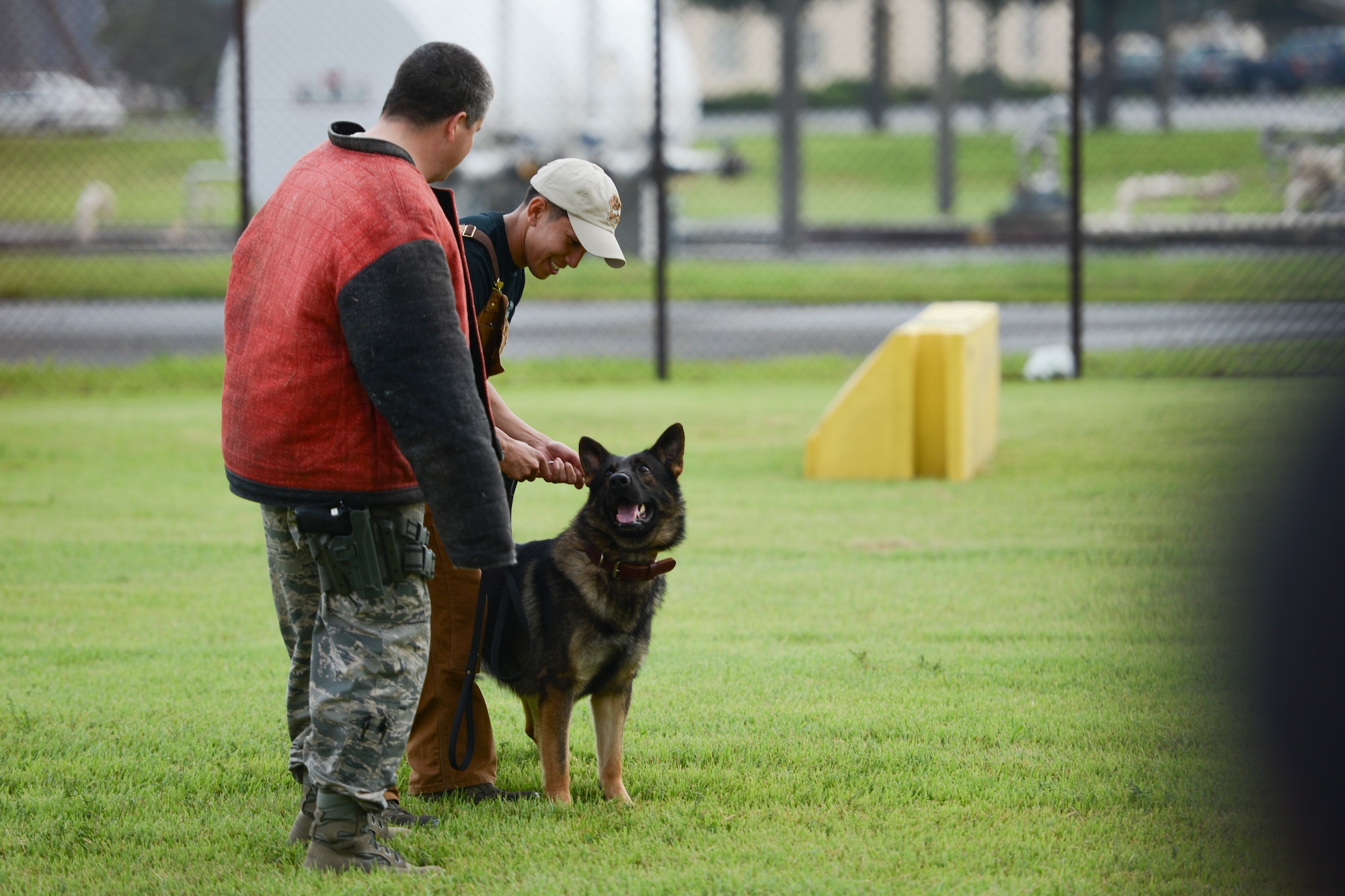 A military dog handler prepares for a K-9 demonstration during the 2014 Japanese-American Friendship Festival at Yokota Air Base, Japan, Sept. 6, 2014. The festival also featured multiple stages with live performances throughout the day, a static aircraft display area, dozens of food booths and a paratrooper demonstration. (U.S. Air Force photo by Staff Sgt. Cody H. Ramirez/Released)