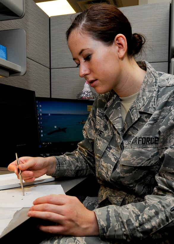 Airman 1st Class Amanda Joyce, 28th Medical Operations Squadron public health technician, separates male and female mosquitoes at Ellsworth Air Force Base, S.D., Sept. 2, 2014. Since only female mosquitoes bite and spread disease, they are collected and sent to a lab at Wright-Patterson AFB, Ohio, to be analyzed and tested. (U.S. Air Force photo by Senior Airman Anania Tekurio/Released)