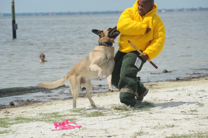 The 927 ARW hosted its annual family day 6 Sept. at the beach on MacDill AFB. Reservists and their family members enjoyed an afternoon of fun which included a barbeque, volleyball, dunk booth, and a car show. In addition to these activities families were given a demonstration by the 6 AMW military working dog handlers, and offered information from representatives of The Yellow Ribbon Program and Employer Support of Guard and Reserve (ESGR). (U.S. Air Force Photo / SSgt Adam C. Borgman)

