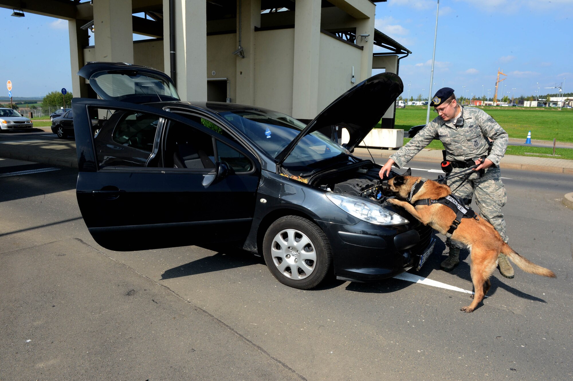 U.S. Air Force Staff Sgt. Adrienne Neuburger, 52nd Security Forces Squadron dog handler and native of Weiser, Idaho, instructs her military working dog, Joice, to search the engine-well of a vehicle before it is allowed entrance to Spangdahlem Air Base, Germany, Sept., 9, 2014. Joice searched the car before an entry controller performed a more in-depth search of the vehicle. Police dogs use their sense of smell to detect explosives, drugs or other harmful substances. (U.S. Air Force photo by Airman 1st Class Kyle Gese/Released)