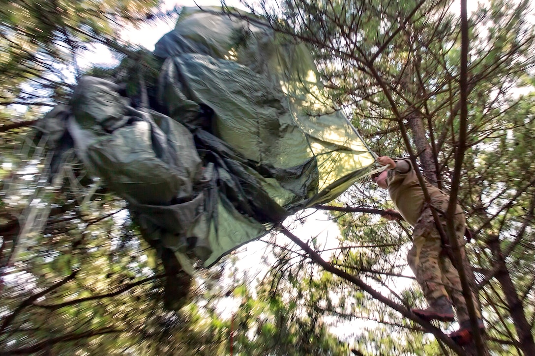 A U.S. soldier pulls a stuck parachute canopy from a tree after completing an airdrop mission at the Combined Arms Training Center near Camp Fuji, Japan, Sept. 3, 2014.