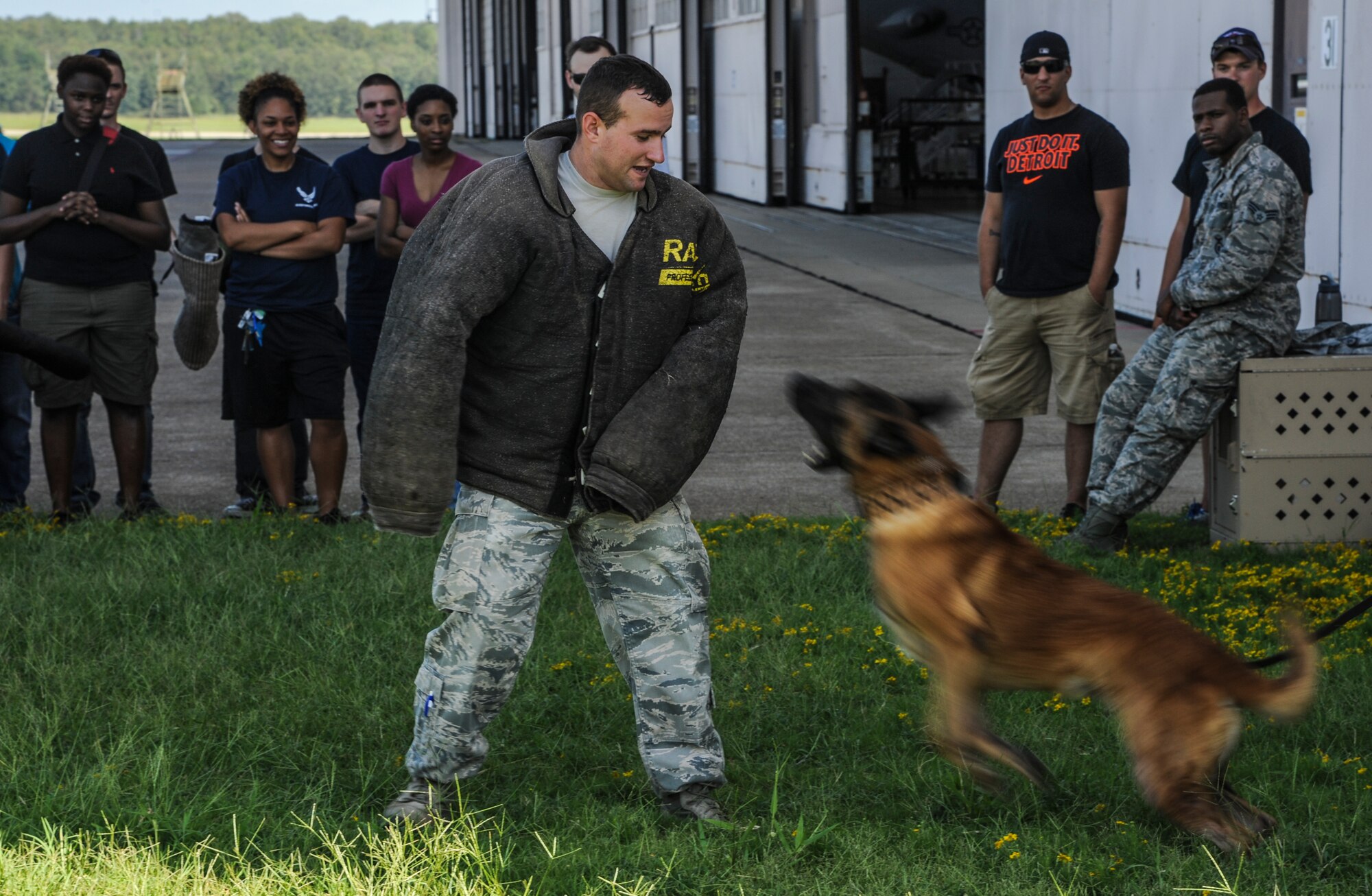 A 19th Security Forces Squadron military working dog handler  acts as a resisting suspect in order to train a military K-9 Aug. 21, 2014, at Little Rock Air Force Base, Ark. The training display was part of a base-wide tour that educated Air Force recruits on different aspects of the Air Force. (U.S. Air Force photo by Airman 1st Class Harry Brexel)