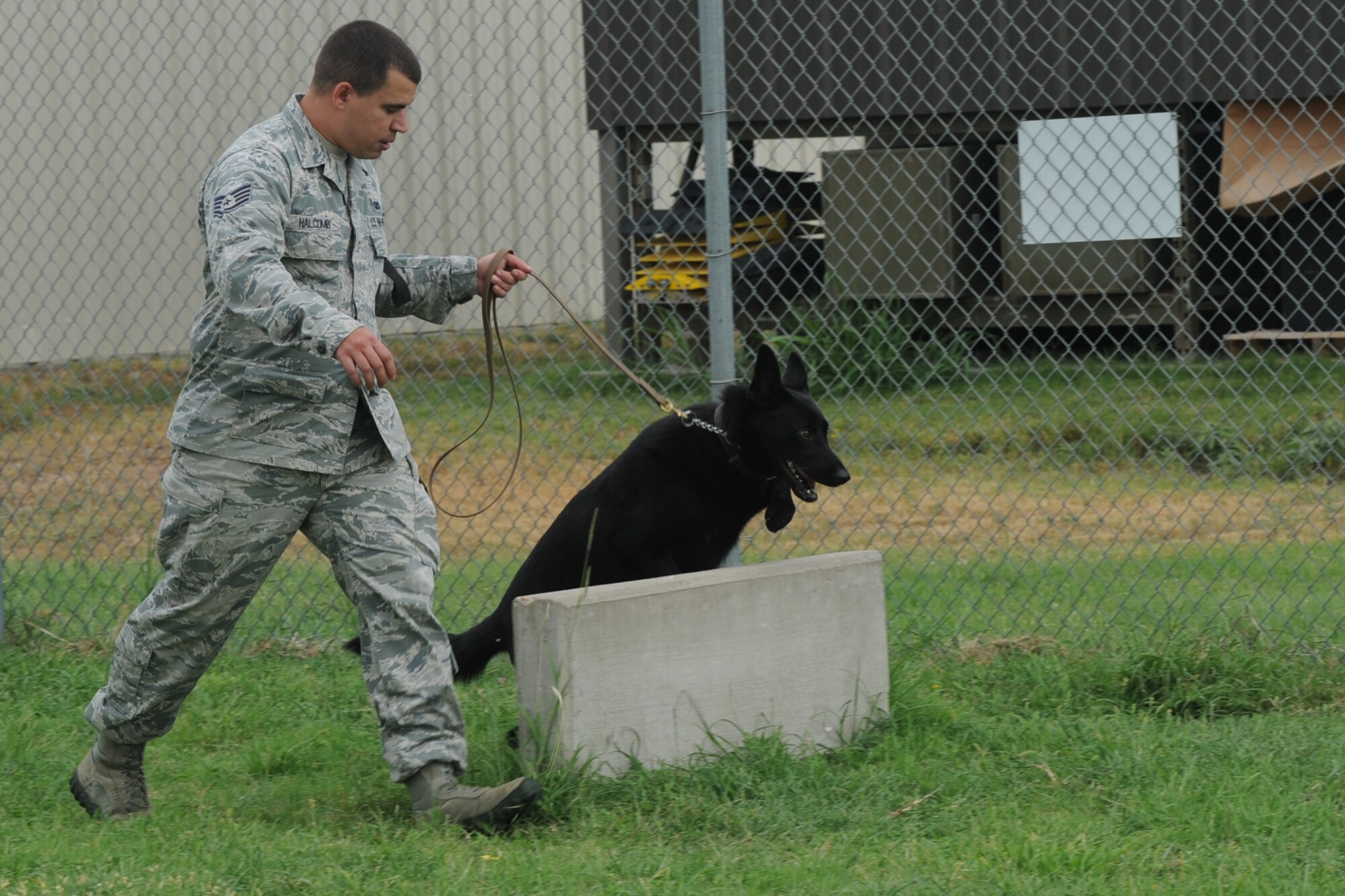 GOODFELLOW AIR FORCE BASE, Texas - Staff Sgt. Jonathan R. Halcomb, 17th Security Forces Squadron military working dog handler, trains Elute, 17 SFS MWD, at the kennel Aug. 12. Elute is a 2-year-old German Shepherd. (U.S. Air Force photo/ Staff Sgt. Laura McFarlane)
