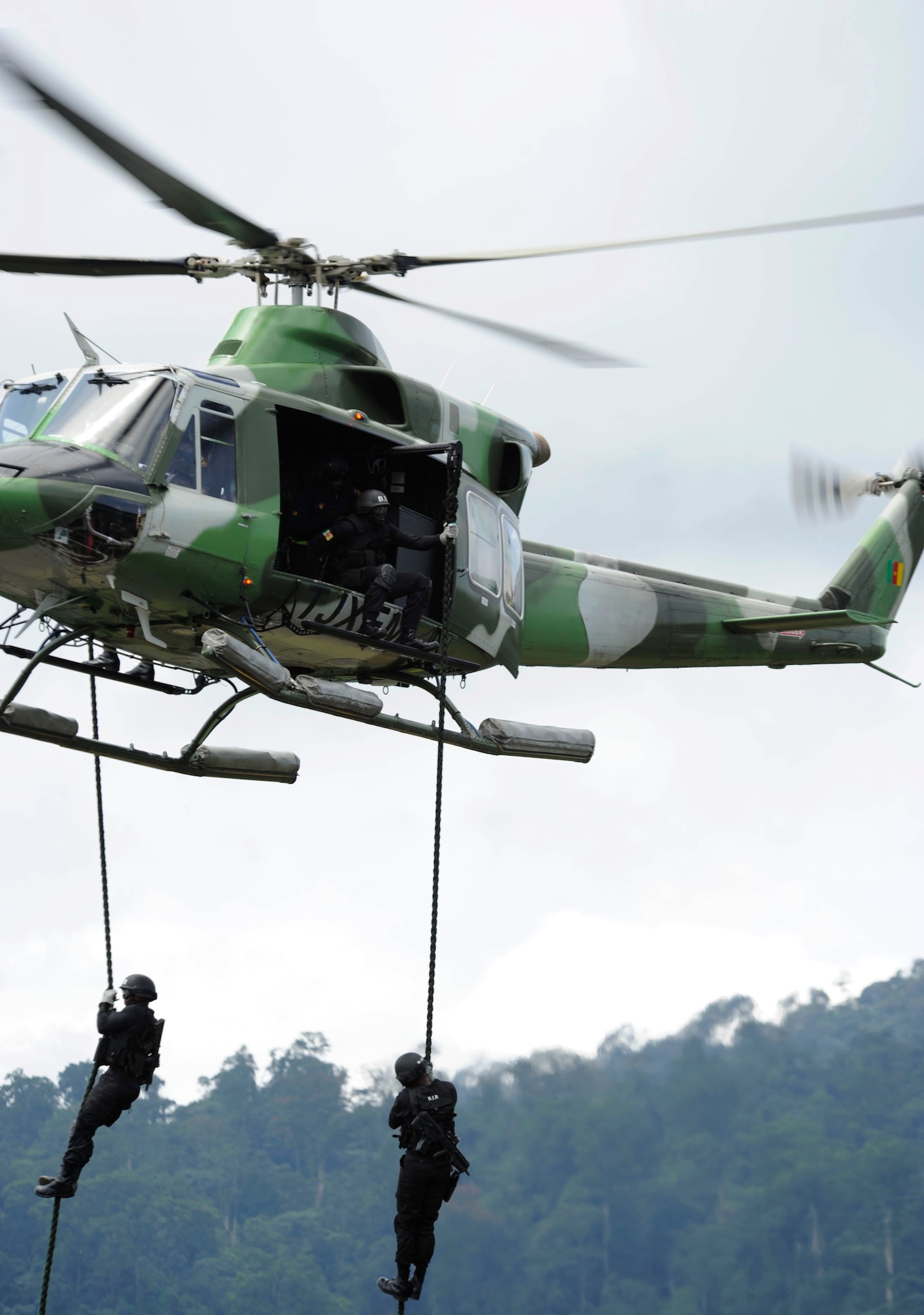 The Rapid Intervention Battalion Base troops give the African Air Chiefs a demonstration of their capabilities. Since 2010, year of RIB creation more than 75 percent of their missions conducted pertained to operations or campaigns. Sept. 10, 2014, RIB Base, Cameroon. (U.S. Air Force photo by Tech Sgt. Patrick Mitchell)