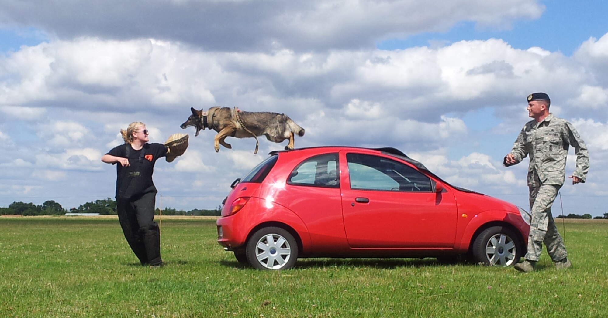 Military Working Dog Zulton leaps over a vehicle as he prepares to attack a decoy, U.S. Air Force Tech. Sgt. Hannah Hobart, former 100th Security Forces Squadron MWD kennel master from Aurora, Ind., during a training session, as U.S. Air Force Staff Sgt. Barret Chappelle, 100th SFS MWD handler from Lafayette, La., runs to regain control of his dog. Zulton retired after seven years of service. (Courtesy photo/Ana Chappelle) 