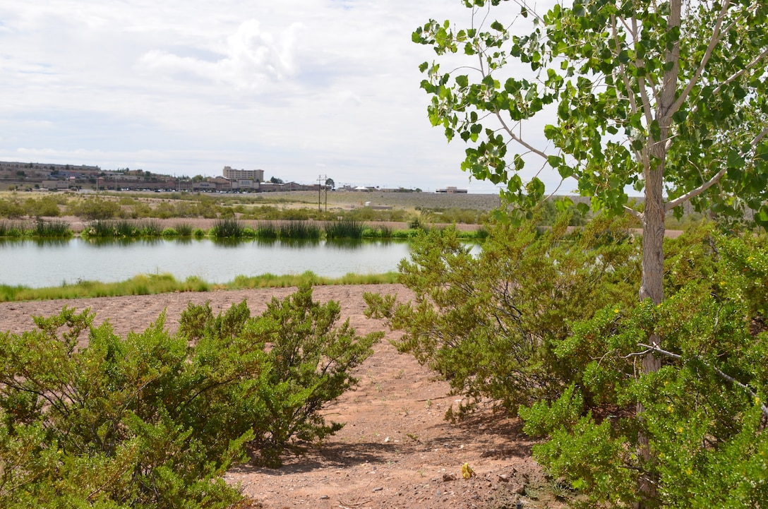 LAS CRUCES, N.M., -- The project’s wetland area. The Las Cruces Dam is visible in the background on the right.