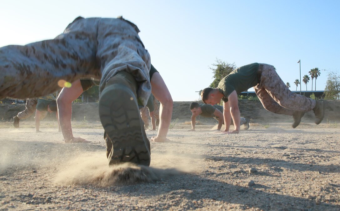 Camp Pendleton, Calif. (Sept. 5, 2014) - Marines and sailors with the 13th Marine Expeditionary Unit execute circuit drills as part of their physical training regimen, Sept. 5, 2014. Servicemembers asigned to a MEU are expected to maintain a high level of physical fitness to be ready to  deploy at a  moment's notice.