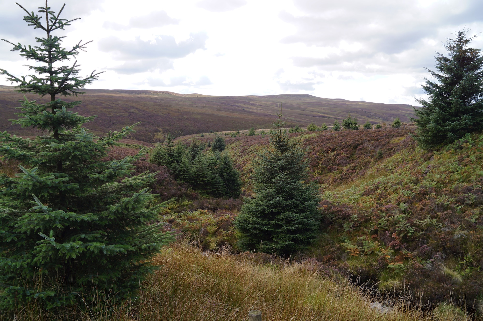 140907-F-XJ860-010: View from Forest Drive in Kielder Water & Forest Park, a 12-mile scenic bypass and toll road. The park is home to northern Europe's largest man-made lake and England's largest forest, according to the park website. (U.S. Air Force photo by Tech. Sgt. Eric Burks/Released)
