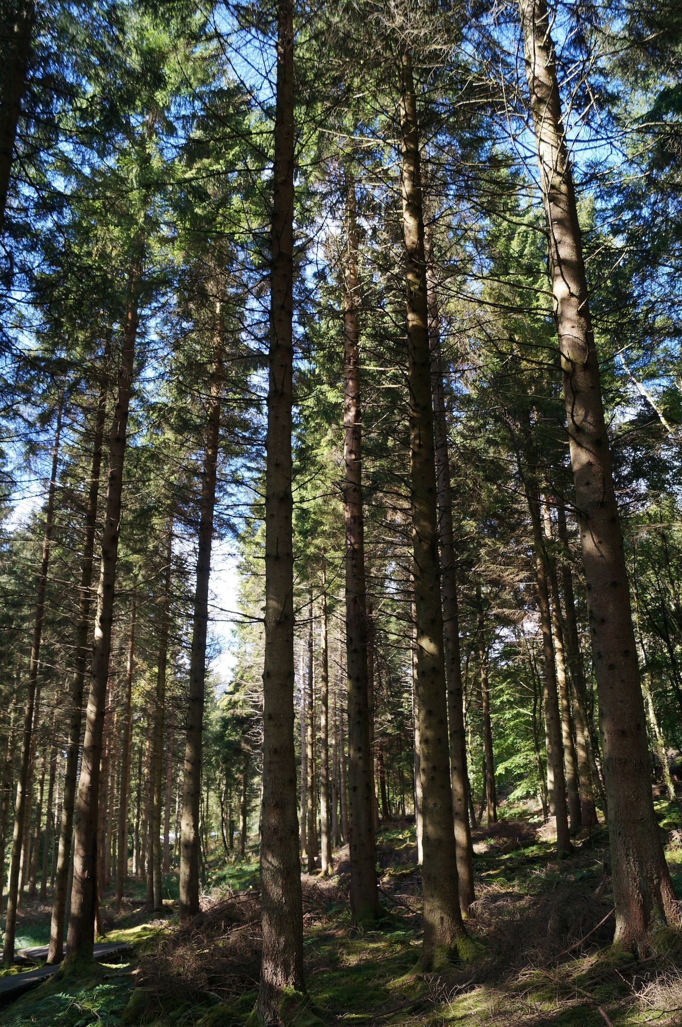 140907-F-XJ860-004: Kielder Water & Forest Park is home to northern Europe's largest man-made lake and England's largest forest, according to the park website. The park offers a variety of outdoor experiences and is situated along the border of England and Scotland. (U.S. Air Force photo by Tech. Sgt. Eric Burks/Released)