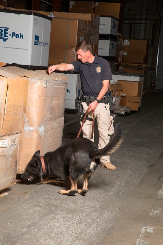Officer Christopher Dixon and K9 partner, Hoky, search for simulated narcotics and explosives during a training exercise aboard Marine Corps Logistics Base Barstow, Calif., Sept. 2.  Dixon led the K9 though a large warehouse on MCLBB in order to find the simulated materials.