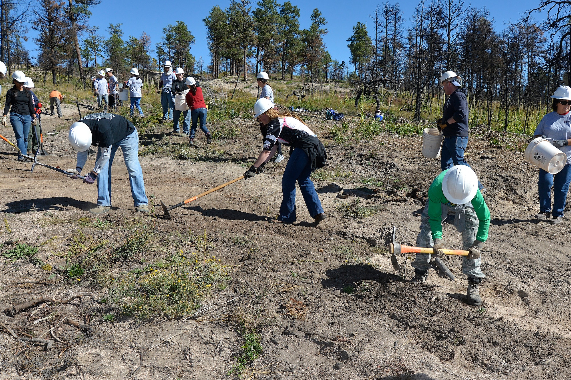 Airmen from the Academy's 10th Medical Operations Squadron work with local volunteers to revitalize the Black Forest burn site just northeast of Colorado Springs Sept. 14. Black Forest was burned by fire that struck in the summer of 2013. The Airmen's efforts are part of an ongoing series of Academy community service projects. (U.S. Air Force photo/Jason Gutierrez) 