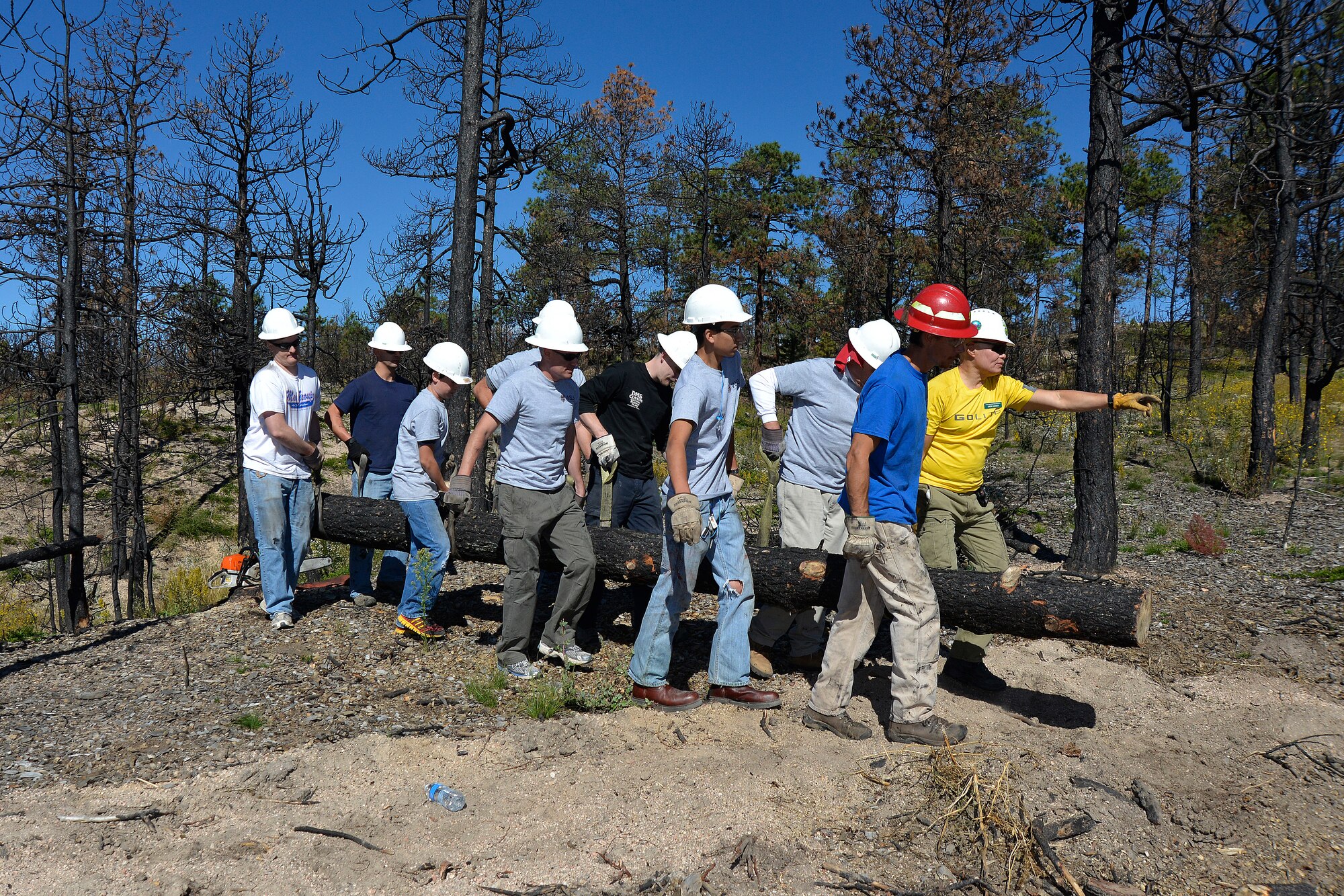 Airmen assigned to the Academy's 10th Medical Operations Squadron and local volunteers move a log Sept. 14 in Black Forest while working to restore an area burned by the Black Forest fire in 2013. Their efforts are part of an ongoing series of Academy community service projects. (U.S. Air Force photo/Jason Gutierrez) 