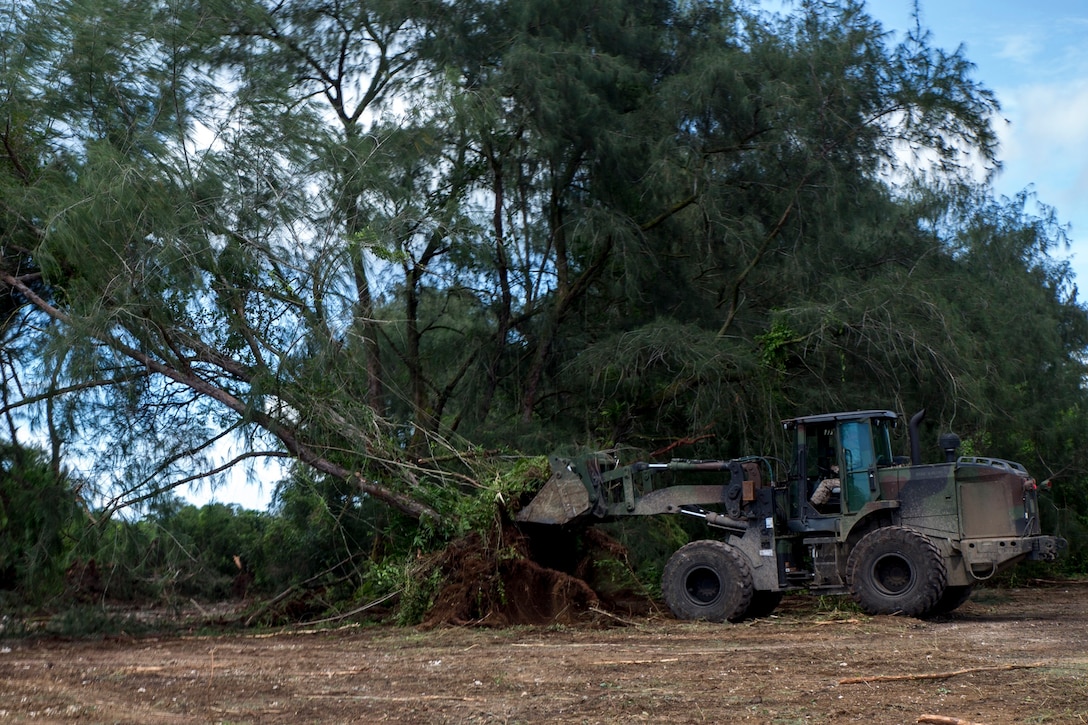 A heavy equipment operator uses a 624 KR tractor, rubber tire, articulated, multipurpose, also known as a bucket loader, to knock over a tree at West Field, Tinian, Aug. 31 during Exercise Valiant Shield. Valiant Shield is a biennial exercise which focuses on training that enables real-world proficiency in sustaining joint forces. HE operators at Tinian are a mixture of operators from Combat Logistics Company 69, 9th Engineer Support Battalion and Marine Wing Support Squadron 171. The heavy equipment operator is with MWSS-171, Marine Aircraft Group 12, 1st Marine Aircraft Wing, III Marine Expeditionary Force. (U.S. Marine Corps photo by Cpl. D. A. Walters/Released)