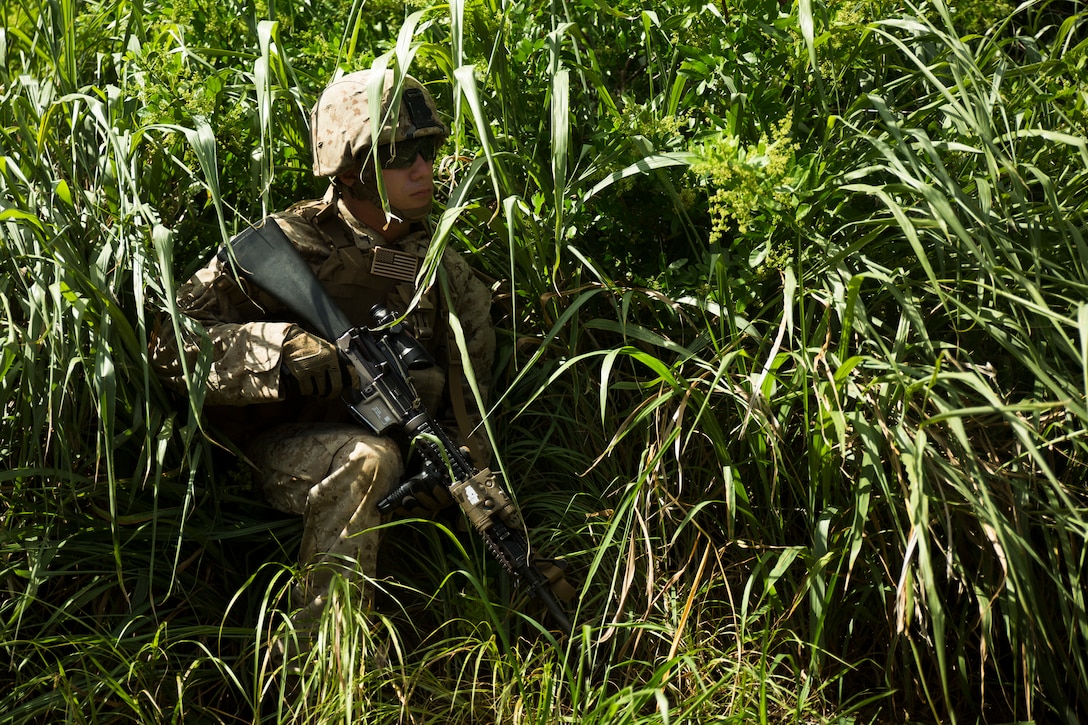 Pfc. Alexander Herbert, a Marine assigned to Golf Company, 3rd Battalion, 3rd Marine Regiment and Portland, Maine native, sits halted in the grass as his patoon makes its way into a compound during a simulated raid at landing zone Boondocker, Marine Corps Base Hawaii, Sept. 16, 2014. The Marines were training in military operations in urban terrain as part of Exercise Island Viper, a staple in Hawaii Marines’ pre-deployment training cycle. (U.S. Marine Corps photo by Cpl. Matthew Callahan/Released)