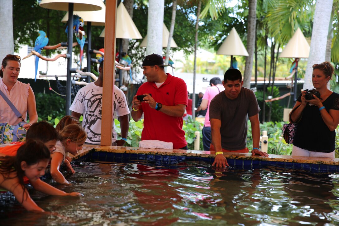 MIAMI— Sergeant Jessy Gomezmoreno, a data techniquian for U.S. Marine Corps Forces South, reaches down to pet a sting ray at the Miami Seaquarium.  Brigadier General David W. Coffman, commander for U.S. Marine Corps Forces South, hosted a fall family day at the Miami Seaquarium for the Marines and their families under his command Sept. 6, 2014. (Official Marine Corps photo by SSgt. Earnest J. Barnes//Released)