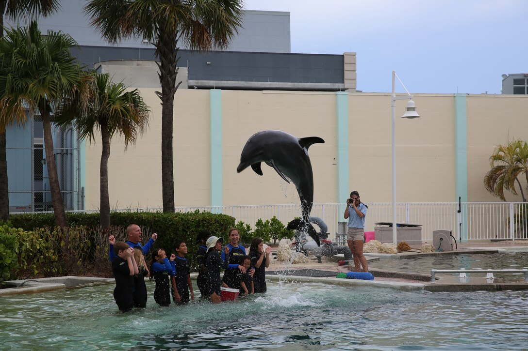 MIAMI— Sergeant Major James Calbough cheers along with other family members of U.S. Marine Corps Forces South as a dolphin leaps from the water during the Dolphin Encounter at the Miami Seaquarium Sept. 6, 2014. Brigadier General David W. Coffman, commander for U.S. Marine Corps Forces South, hosted a fall family day at the Miami Seaquarium for the Marines and their families under his command Sept. 6, 2014. (Official Marine Corps photo by SSgt. Earnest J. Barnes//Released)