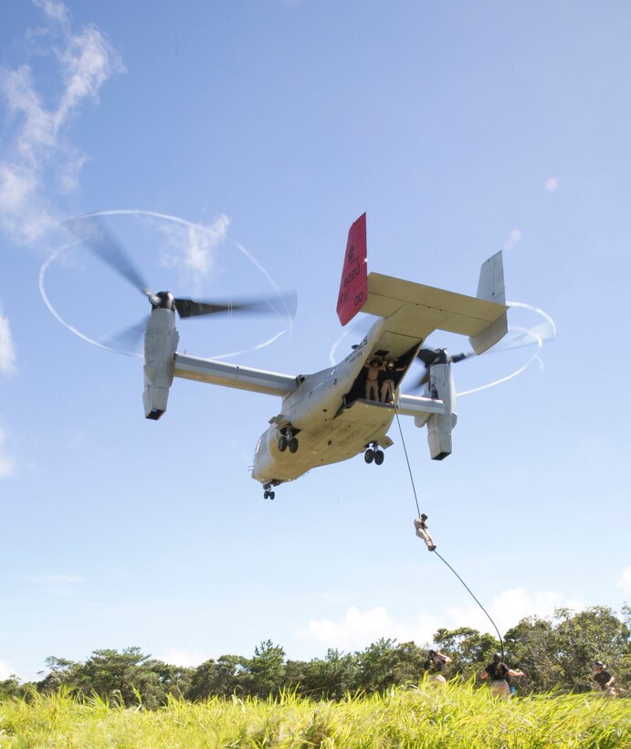 Sgt. Thomas Jackson, a Chicago, Illinois, native, fast ropes down from an MV-22B Osprey during the Helicopter Rope Suspension Techniques course Aug. 20 at the Central Training Area. The 11-day course consists of various written and practical applications. Jackson is a radio operator with 5th Air Naval Gunfire Liaison Company, III Marine Expeditionary Force Headquarters Group, III MEF. (U.S. Marine Corps photo by Lance Cpl. Isaac Ibarra/Released)