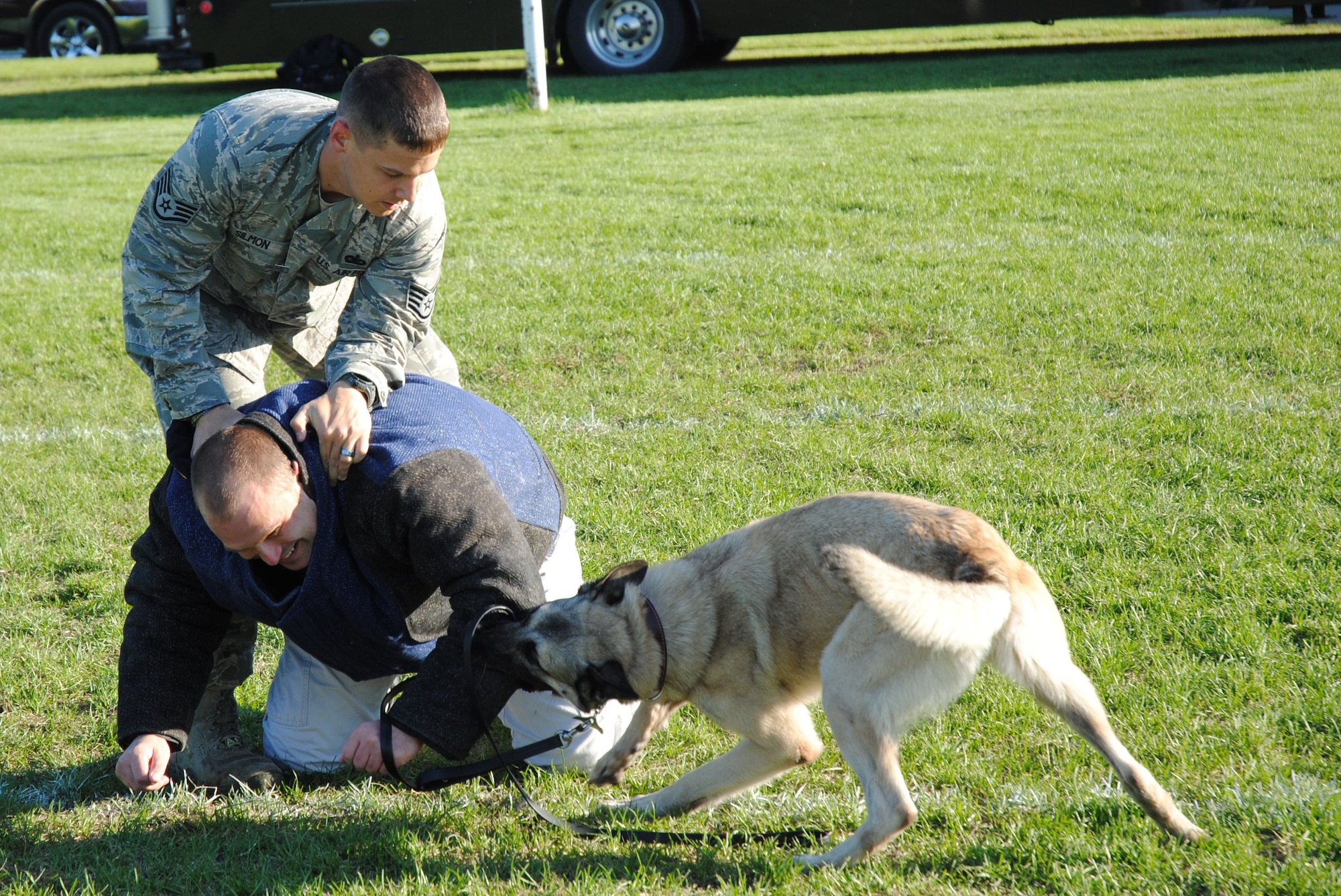 Arco, a military working dog from the 319th Security Forces Squadron his handler and partner Staff Sgt. Brett Silmon take down Staff Sgt. Sean King, who volunteered to be a simulated aggressor during a dog demonstration Sept. 15, 2014, at the grounds of the Cliff Fido Purpur Arena in downtown Grand Forks. The NCOs and Arco were part of a 10-member team that participated in the free public event.  (U.S. Air Force photo/Staff Sgt. Luis Loza Gutierrez) 
