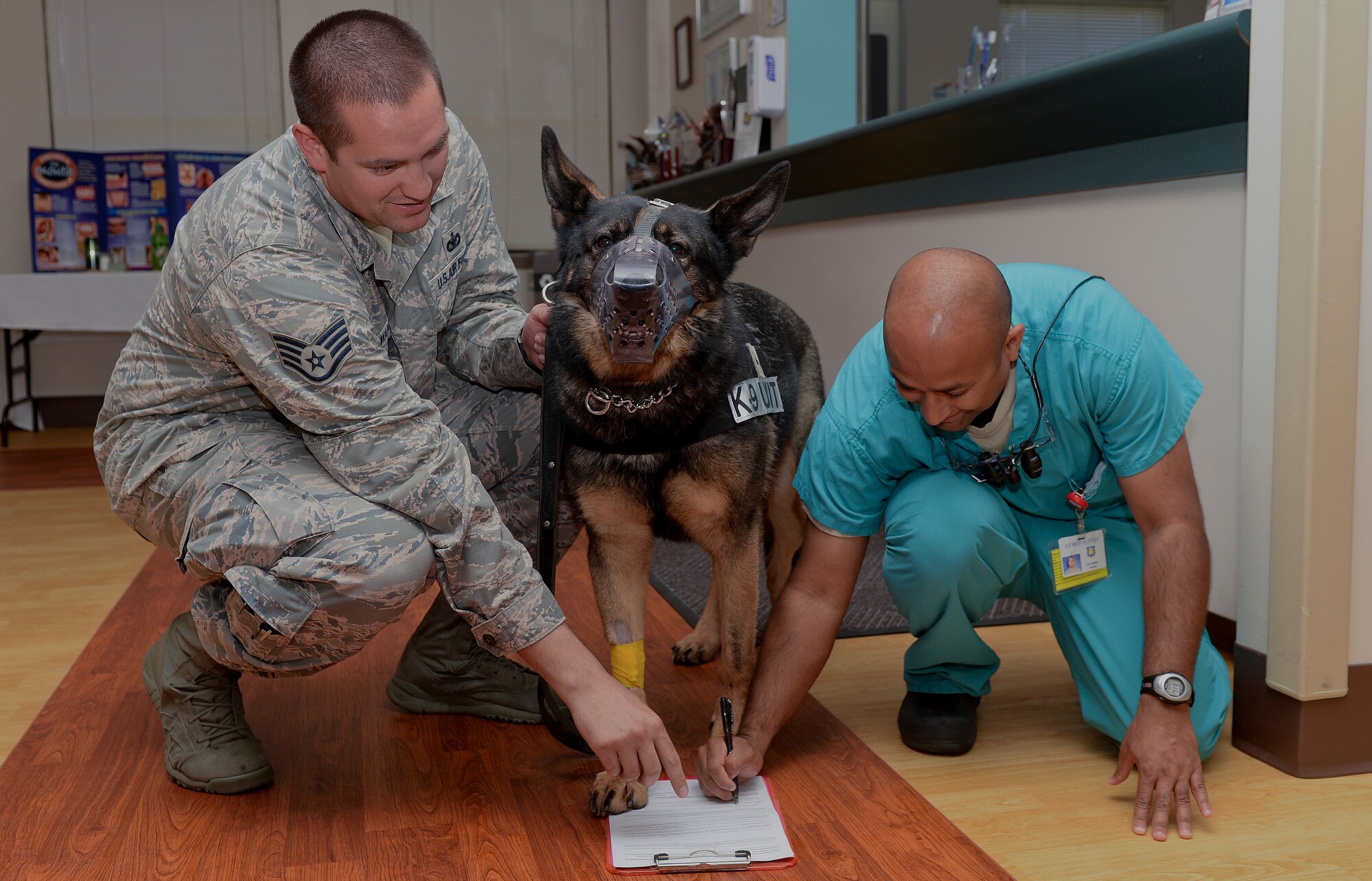 Britt, a military working dog, 'signs a letter' of consent Sept. 18, 2014, at McConnell Air Force Base, Kan. Britt had complications within his mouth which required dental care. (U.S. Air Force photo/Airman Colby L. Hardin)

