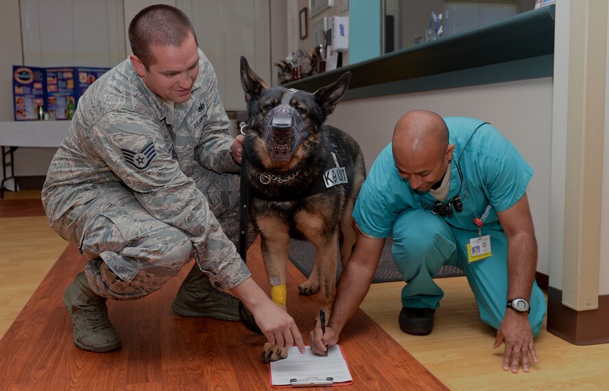 Britt, a military working dog, 'signs a letter' of consent Sept. 18, 2014, at McConnell Air Force Base, Kan. Britt had complications within his mouth which required dental care. (U.S. Air Force photo/Airman Colby L. Hardin)

