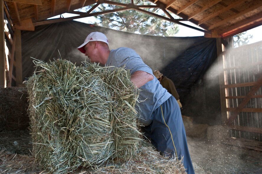 Senior Airman Richard Walkowiak, 336th Training Support Squadron vehicle operator, helps move hay bales at Rocky Cove Youth Ranch in Tum Tum, Washington, Sept. 15, 2014. The Fairchild Airmen volunteered to help the ranch prepare for the Healing Hearts through horses program held there. The ranch designed the program to help foster children and troubled youth by allowing them work with horses to learn values and responsibility. (U.S. Air force photo/Staff Sgt. Veronica Montes)