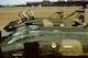 The 465th Tactical Fighter Squadron, part of the 507th Tactical Fighter Group, flew the McDonnell F-4Ds from 1980-1988. (Air Force photo courtesy of 507th Air Refueling Wing Public Affairs Office)

