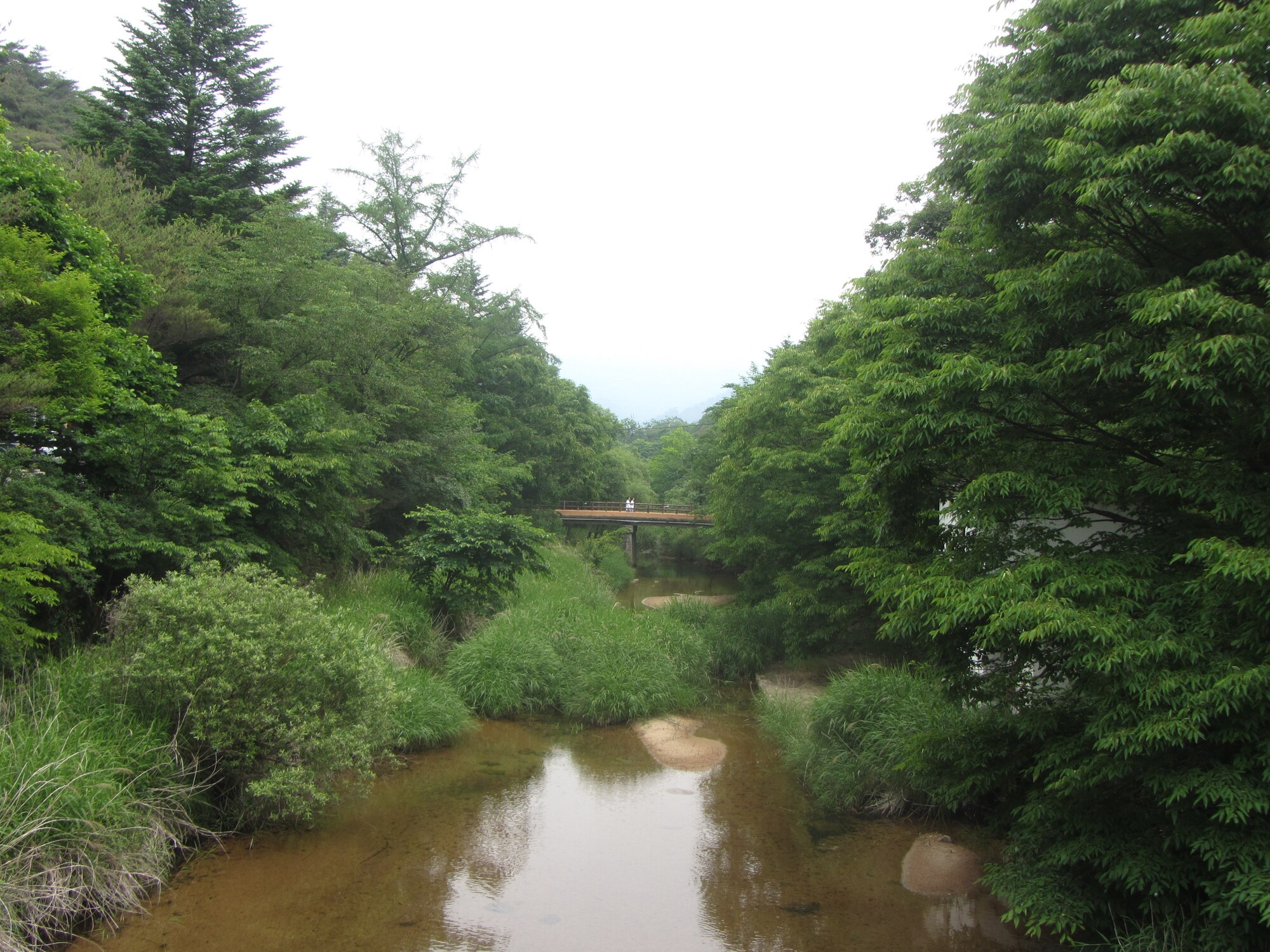 From the top of a granite peak, the vista photographed here June 17, 
2014, is nearby Mount Songnisan. Mount Songnisan is situated in Songnisan 
National Park, Chungcheongbuk Province, Republic of Korea.

