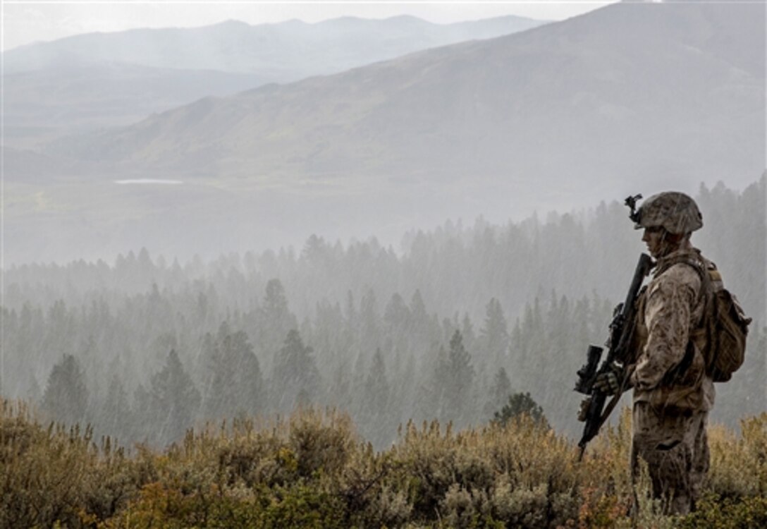 Marine Corps Lance Cpl. Dominique Sparacino pauses while on patrol during Mountain Exercise 2014 on Marine Corps Mountain Warfare Training Center in Bridgeport, Calif., Sept. 8, 2014.