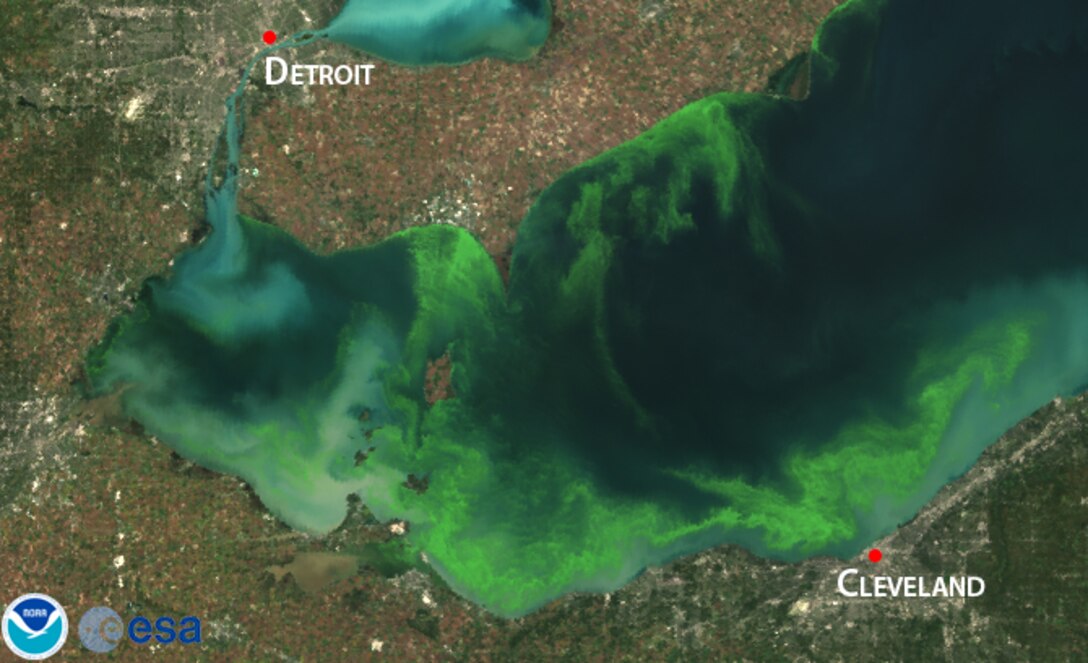 The U.S. Army Corps of Engineers Buffalo District announces the release of a report itled: “Influence of Open-Lake Placement of Dredged Material on Western Lake Erie Basin Harmful Algal Blooms.”