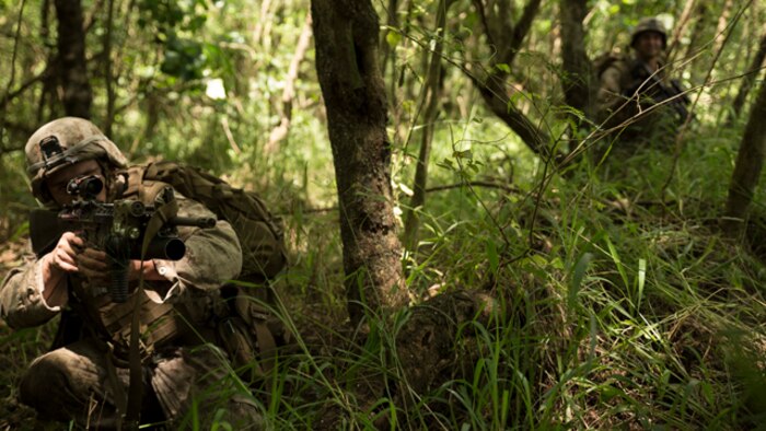 Marine infantrymen make their way to a compound held by Guam Army National Guard who are acting as an opposing force Sept. 20 during the island seizure portion of Exercise Valiant Shield 2014 at Tinian’s North Field. The Marines were transported from Okinawa to Guam and from there to Tinian. Valiant Shield is a U.S.-only exercise integrating Navy, Air Force, Army, and Marine Corps assets, offering real-world joint operational experience to develop capabilities that provide a full range of options to defend U.S. interests and those of its allies and partners. The Marines are with Company A, 1st Battalion, 3rd Marine Regiment, 3rd Marine Division, III Marine Expeditionary Force. (U.S. Marine Corps photo by Cpl. D. A. Walters/ Released)