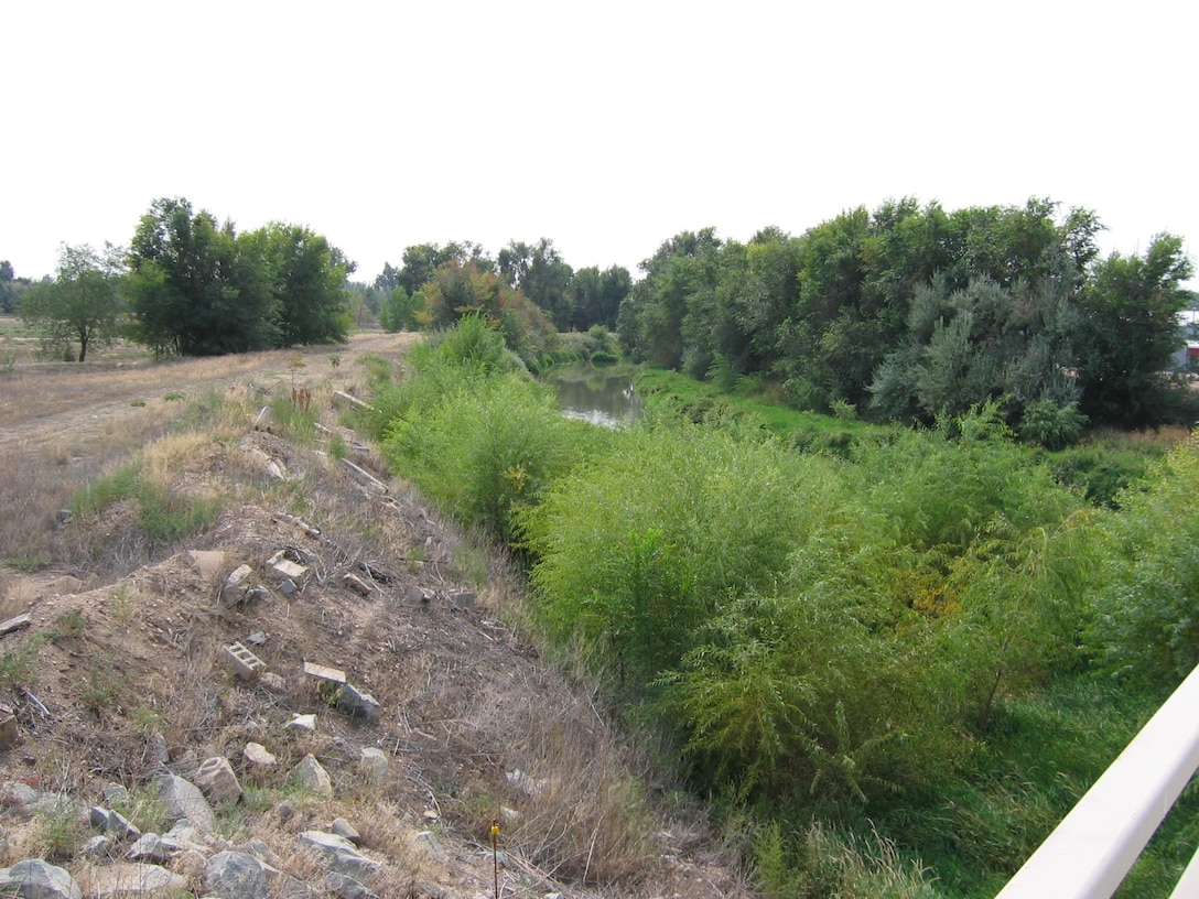 Berms along the Cache la Poudre in the study area are severely degraded by debris and invasive vegetation, are not certified as an engineer structure, and could potentially fail during a major flood event. 