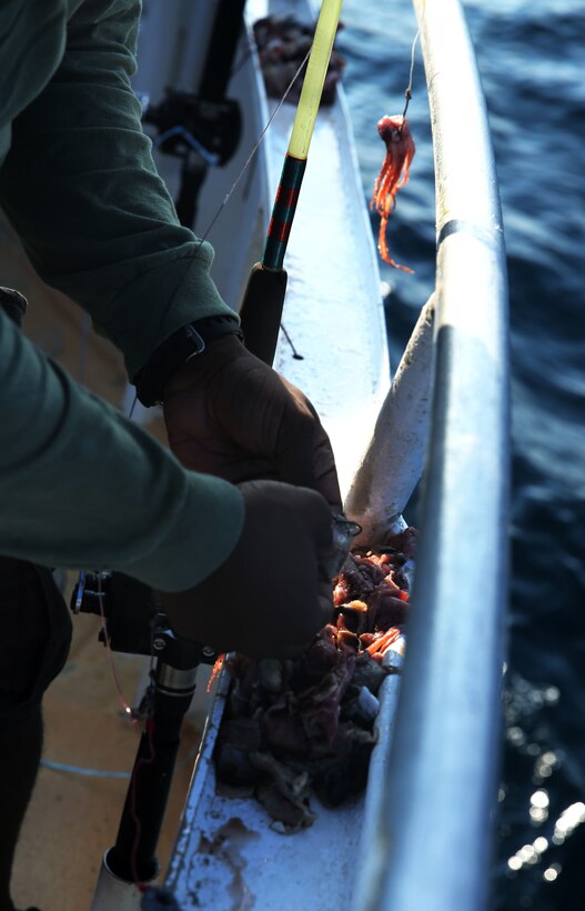 Sgt. Elie Celestin baits a hook during a deep sea fishing trip aboard the Carolina Princess Sept. 12, 2014. Celestin was selected for promotion to staff sergeant and was invited to attend the trip with staff noncommissioned officers of Marine Corps Air Station Cherry Point’s Headquarters and Headquarters Squadron to build camaraderie within the squadron. Celestin is the SNCO in charge of Cherry Point’s Installation Personnel Administration Center’s orders section and is a native of Homestead, Fla.