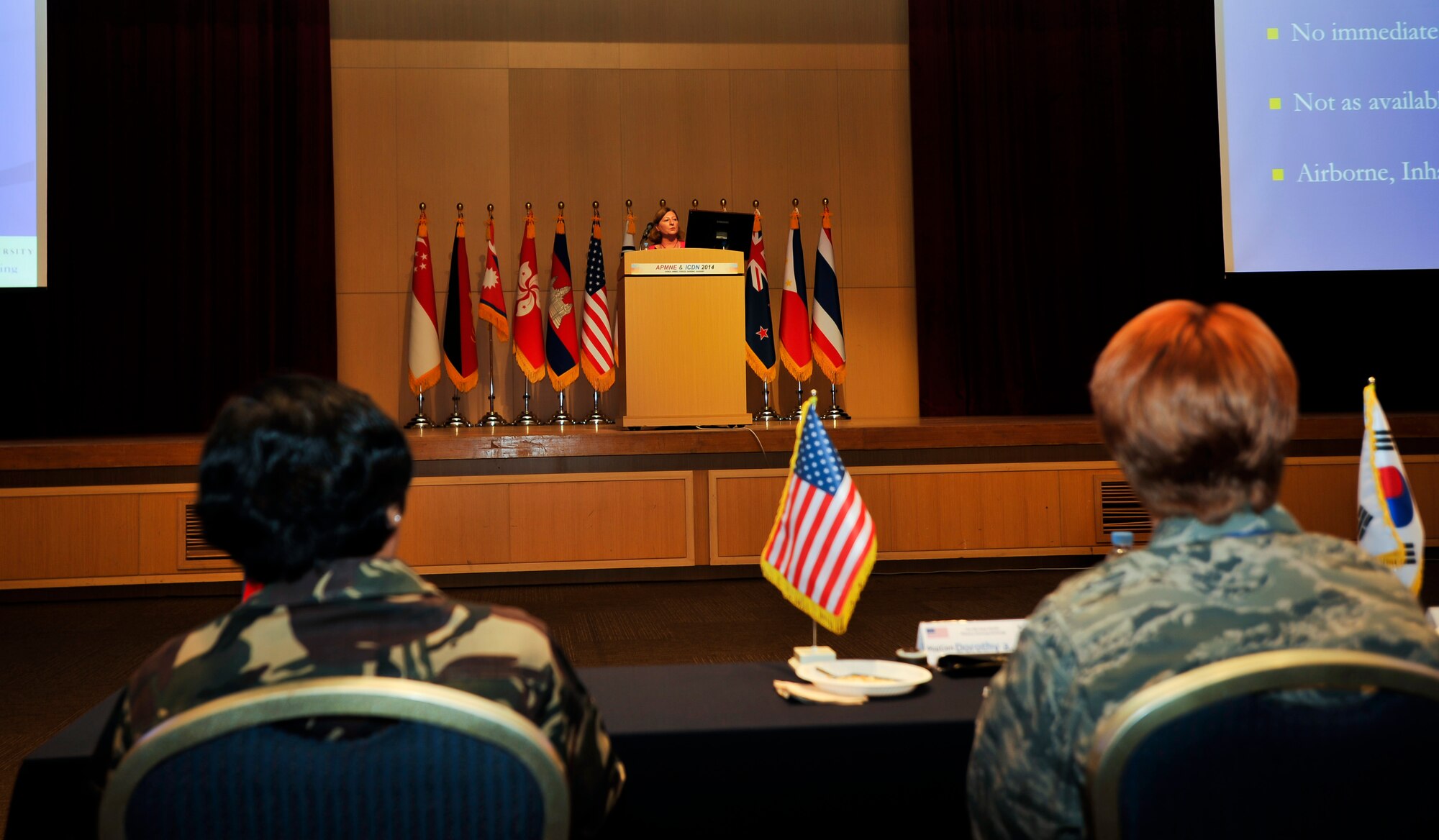 Joanne Langan, St. Louis University interim associate dean, gives a briefing on current medical issues during the Asia-Pacific Military Nursing Exchange in Daejeon, Republic of Korea Sept. 4, 2014. This multilateral exchange establishes an environment where Asia-Pacific regional nursing leaders are able to develop and mature in order to build a regional network of shared expertise. (U.S. Air Force photo/Senior Airman David Owsianka)