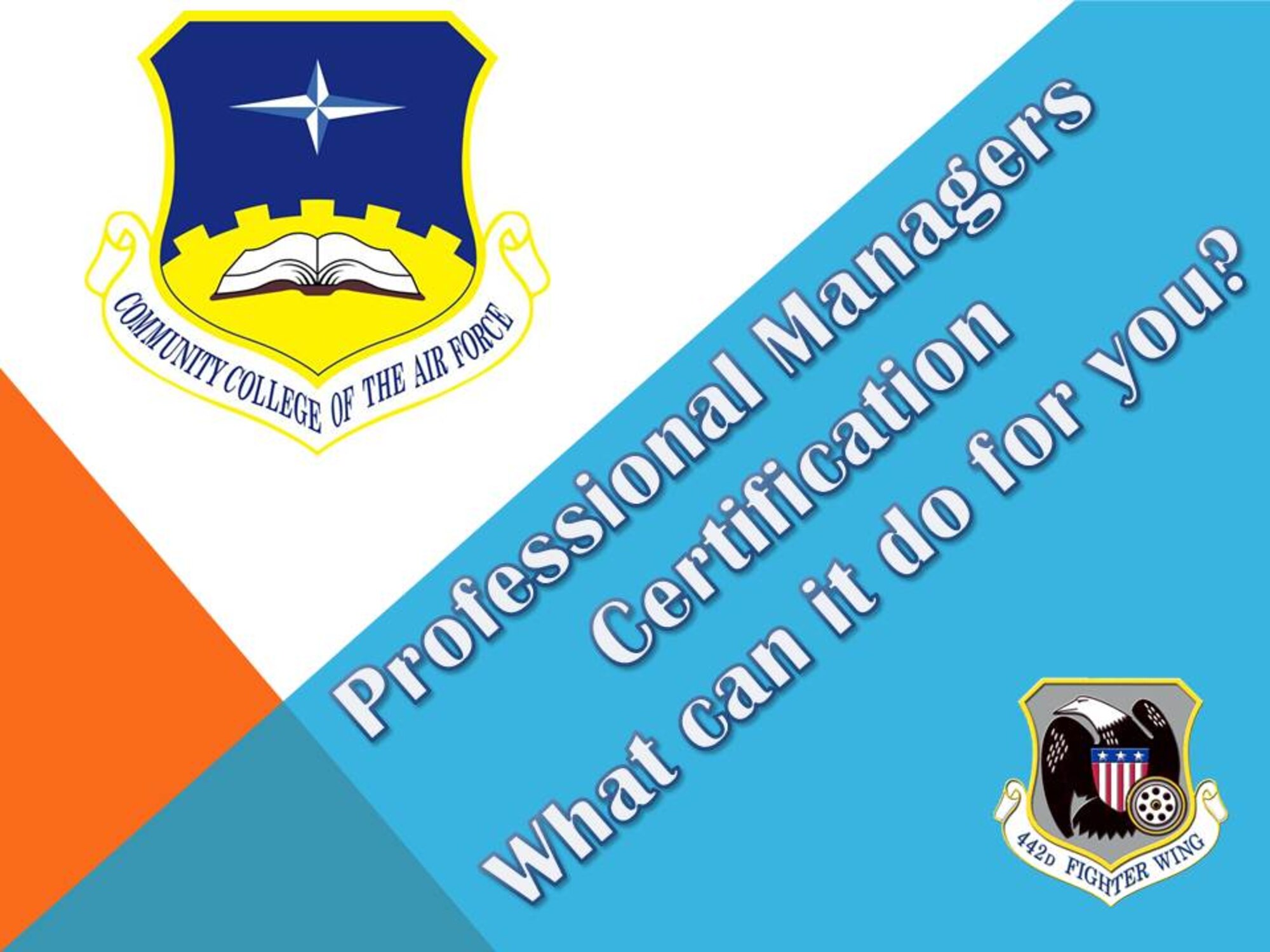 Professional Manager Certification and Credentialing is a service offered by the Community College of the Air Force. (U.S. Air Force graphic by Capt Jeff Kelly) 