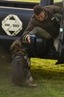 A 9th Security Forces Squadron military working dog apprehends an Airman during a training simulation Sept. 22, 2014, at Beale Air Force Base, Calif.  The demonstration was presented to honorary commanders during a base tour.  (U.S. Air Force photo by Staff Sgt. Brenda Davis/Released)