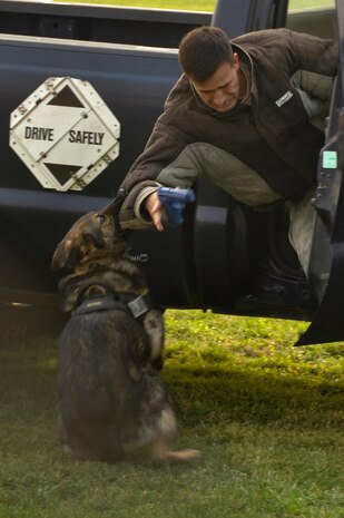 A 9th Security Forces Squadron military working dog apprehends an Airman during a training simulation Sept. 22, 2014, at Beale Air Force Base, Calif.  The demonstration was presented to honorary commanders during a base tour.  (U.S. Air Force photo by Staff Sgt. Brenda Davis/Released)